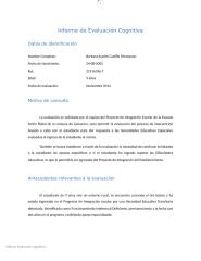 Informe Castillo Painequeo.docx