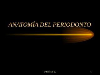 anatomia_periodonto.ppt